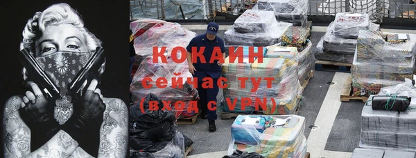 шишки Туринск