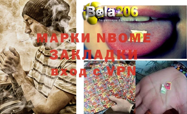 шишки Туринск